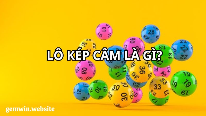lo kep cam la gi Tìm hiểu thông tin về kép câm